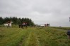 DSC05759.jpg