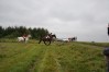 DSC05763.jpg
