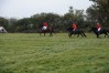 DSC05954.jpg