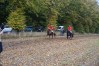 DSC06175.jpg