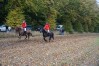 DSC06184.jpg