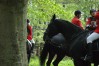 DSC06343.JPG