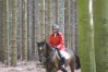 DSC06368.JPG