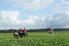 DSC06532.JPG