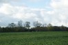 DSC06542.JPG
