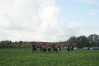DSC06554.JPG