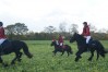 DSC06558.JPG