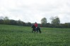 DSC06560.JPG