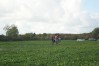 DSC06561.JPG