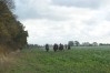 DSC06570.JPG