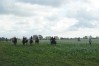 DSC06571.JPG