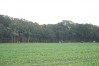 DSC06575.JPG