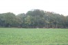DSC06576.JPG