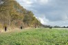 DSC06583.JPG