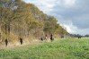 DSC06584.JPG