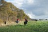 DSC06585.JPG