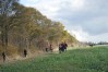 DSC06586.JPG