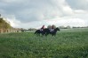 DSC06587.JPG