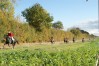 DSC06594.JPG