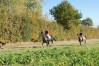 DSC06597.JPG
