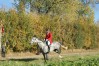 DSC06600.JPG