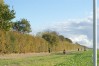 DSC06601.JPG