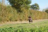 DSC06602.JPG