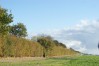DSC06609.JPG
