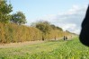 DSC06611.JPG