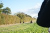 DSC06612.JPG