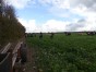 P1040486.JPG