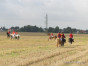 20210912-01.jpg