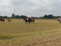 20210912-04.jpg