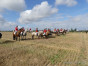 20210912-90.jpg