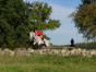 P1090113.jpg