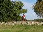 P1090114.jpg