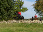 P1090115.jpg