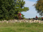P1090117.jpg