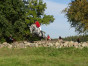 P1090123.jpg