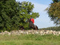 P1090125.jpg