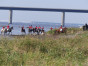 P1090142.jpg