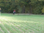 P1090888.jpg