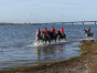 P1090913.jpg