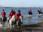 P1090914.jpg