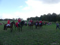 P1090997.jpg